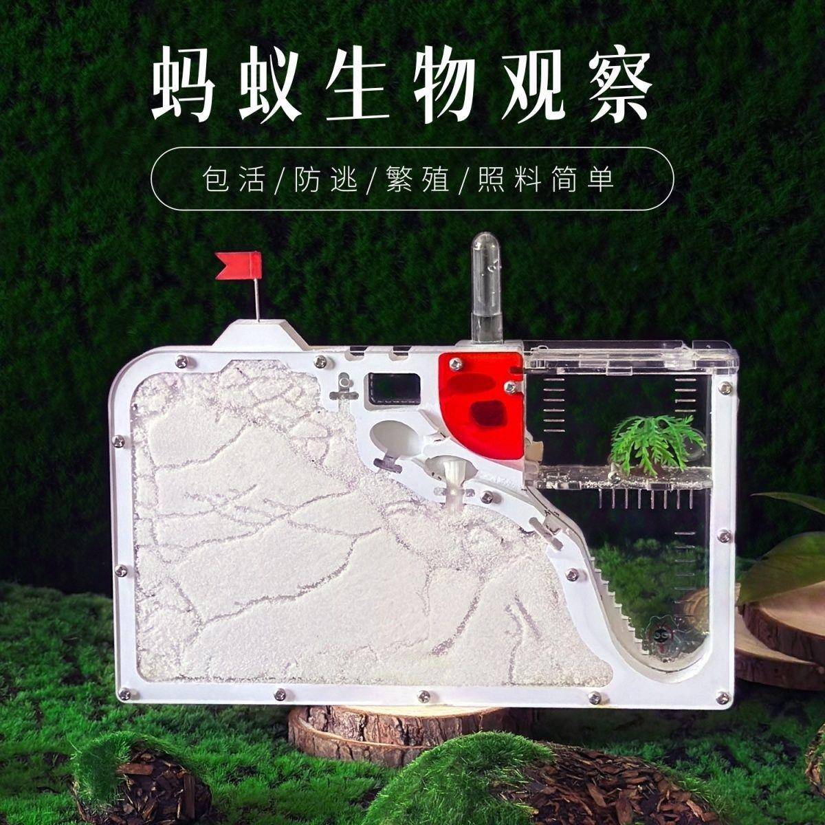 蚂蚁城堡 蚁巢亚克力沙巢送蚁后学生观察箱蚁巢室屋庄园家园
