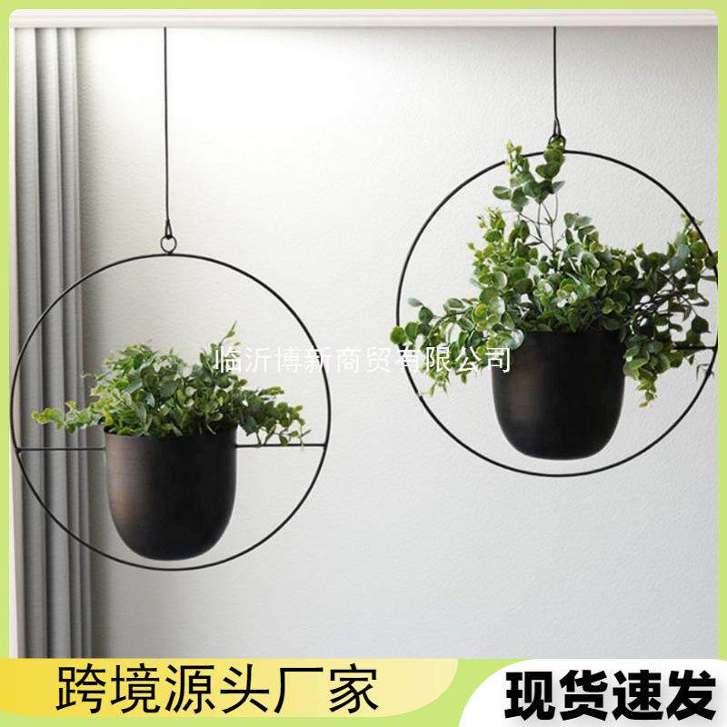 欧式铁艺悬挂水培植物吊兰阳台花园吊盆吊饰懒人吊兰悬挂式花盆