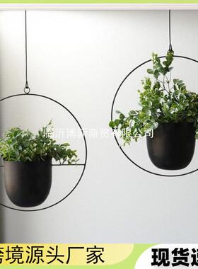 欧式铁艺悬挂水培植物吊兰阳台花园吊盆吊饰懒人吊兰悬挂式花盆