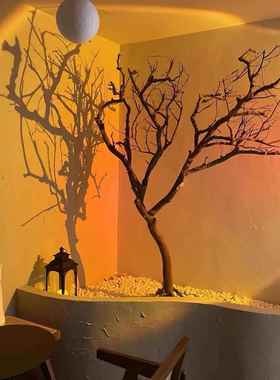 树枝树枝干树白色干枯树枝摆件树杆仿真009树枝假树造干型树枝装