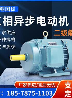 三相异步电动机YE422W4P纯铜铜22千瓦4极交流电机马达