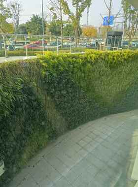 立体环保模拟绿色植物墙园林绿化背景墙网红假花形象背景墙