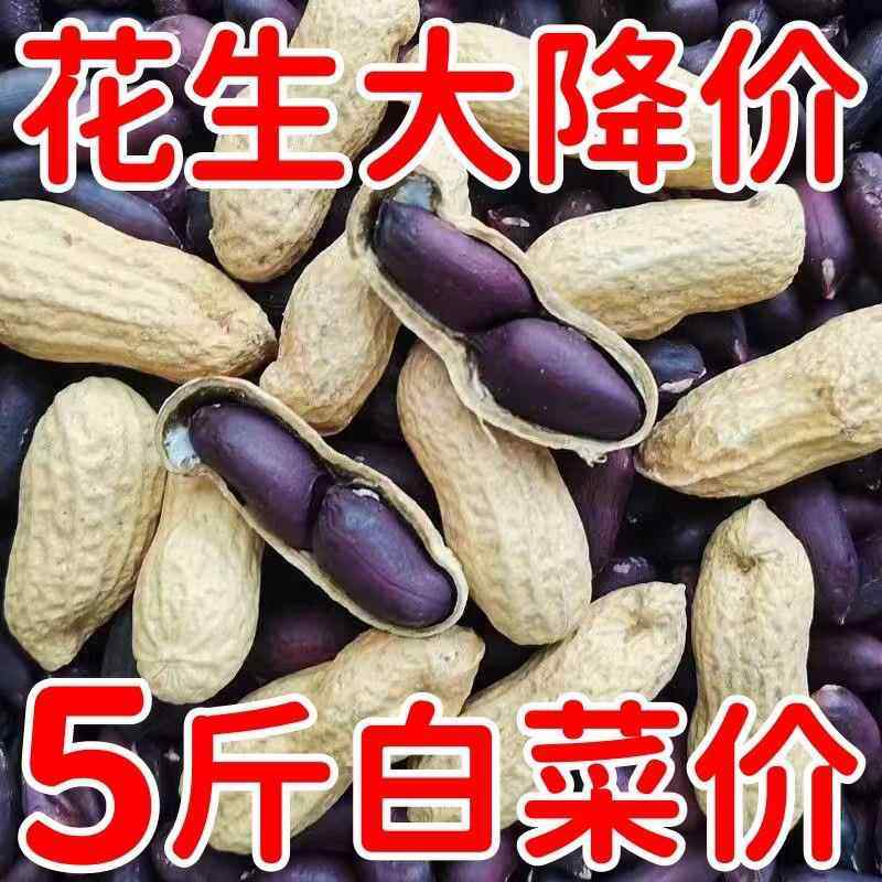农家黑花生2024花生带壳皮米新货新鲜晒干甘甜富硒黑花生紫皮原味,水产肉类/新鲜蔬果/熟食,新鲜花生,淘宝优惠券,粉丝福利购,淘宝优惠卷