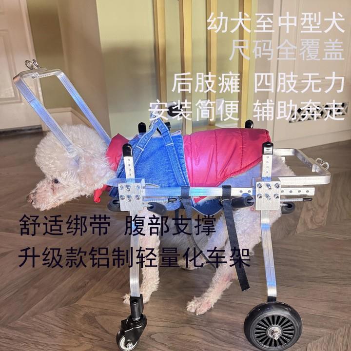 狗狗宠物轮椅残疾狗轮椅后肢宠物助力车后腿助行车轮椅代步简易