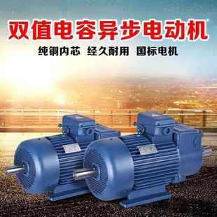 30KW 三项异步电动机 200L YE2