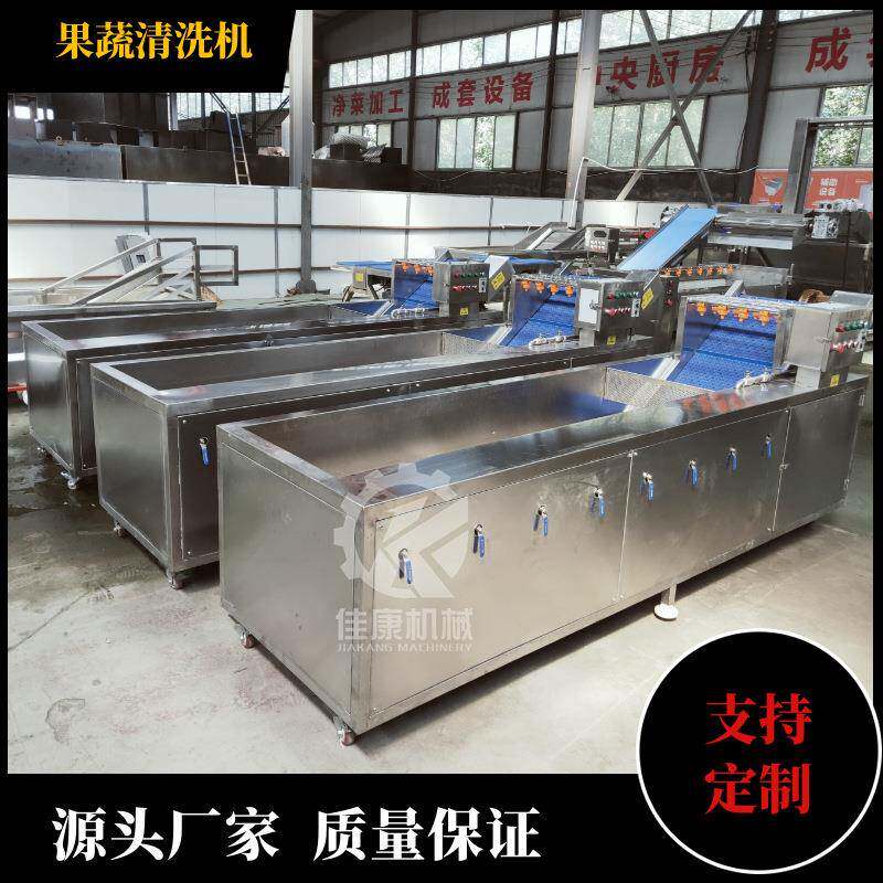 厂家生产大樱桃臭氧清洗机 商用水果清洗机 樱珠车厘子清洗设备