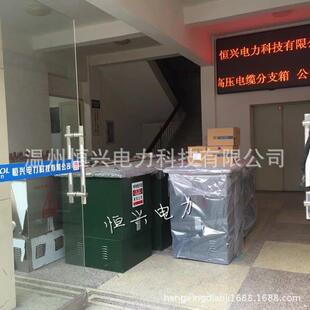 630A电缆分支箱不锈钢一进二出 电缆分接箱DFW 高压10KV欧式
