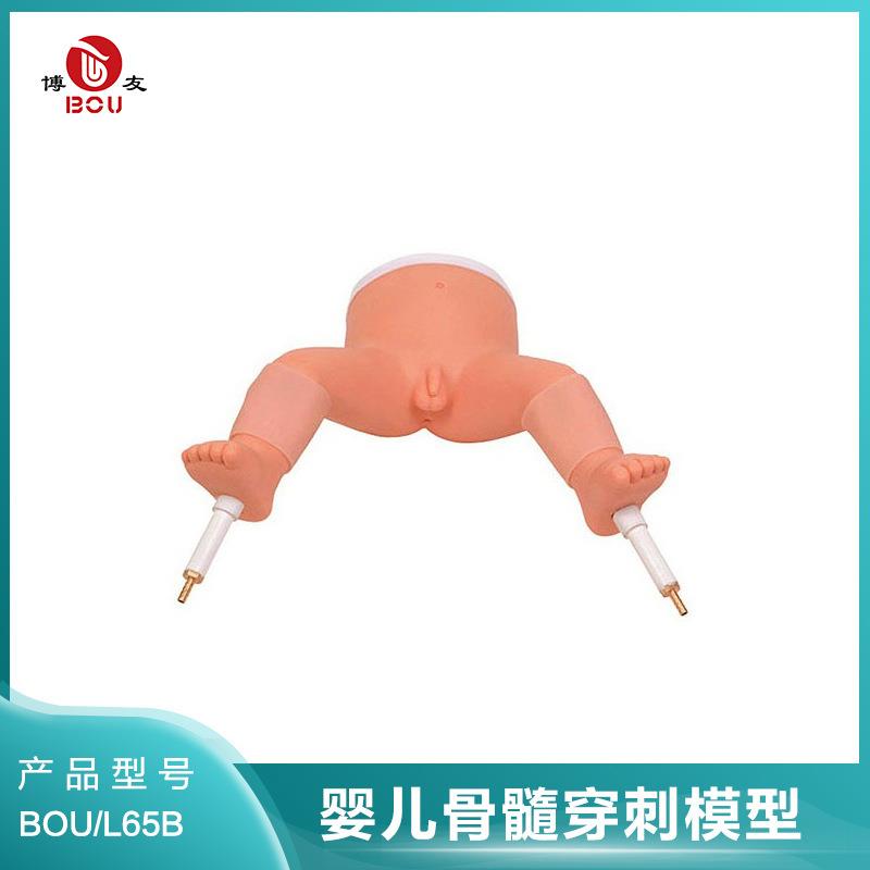 博友婴儿骨髓穿刺模型 婴儿双腿胫骨 骨髓穿刺操作模拟练习训练