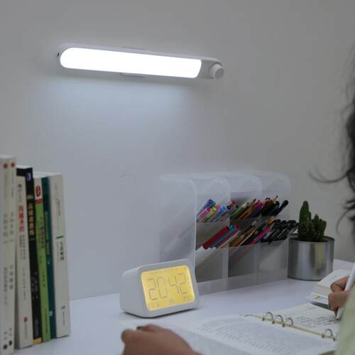 学生用台灯学习护眼灯充电插电两用书桌宿舍灯管led阅读酷毙