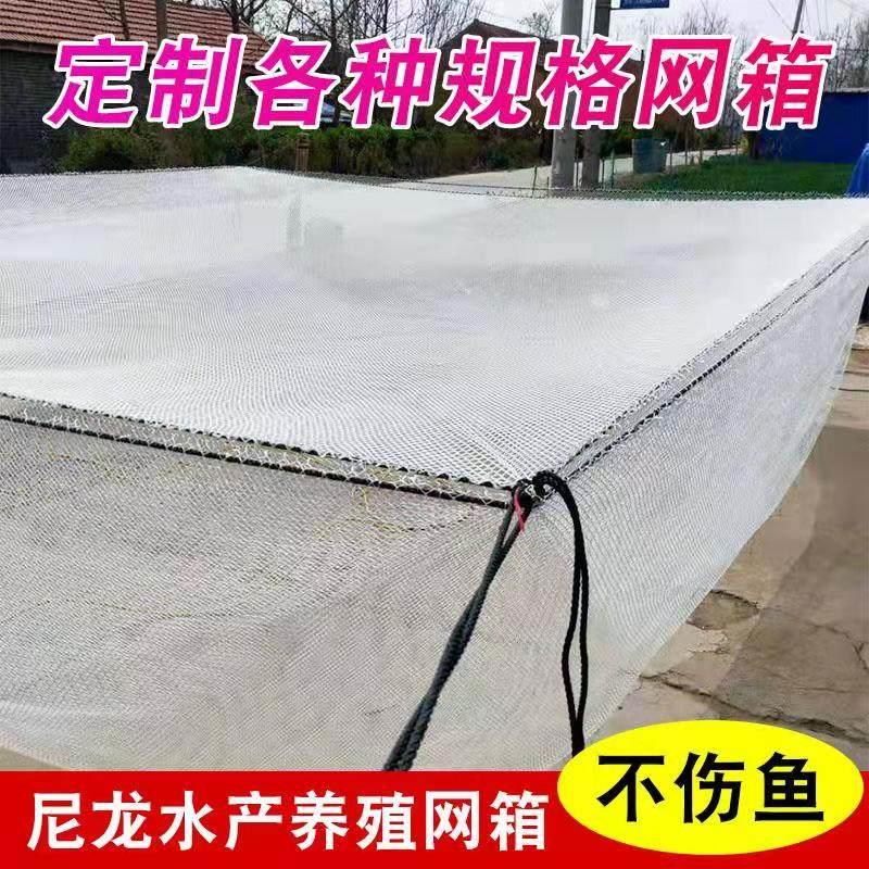 定做白色尼龙网不伤鱼网箱养殖养鱼存鱼网箱池塘鱼塘水库箱网擡网