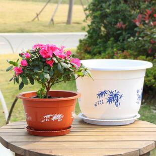 大型荷花盆无孔水培绿植睡莲盆栽特大塑料有孔果树圆形加厚仿陶瓷