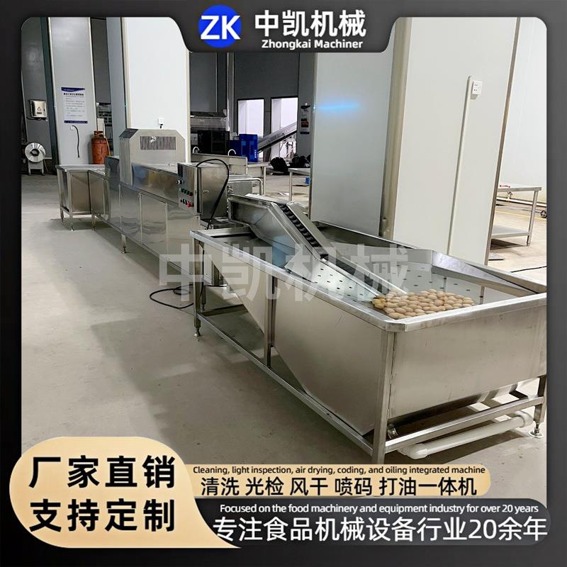 大型全自动洗蛋机包灰蛋清洗皮蛋清洗机鸡蛋鸭蛋不锈钢洗蛋设备