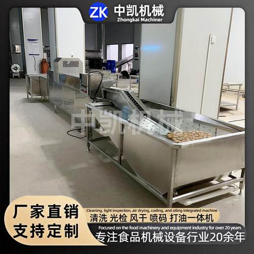 大型全自动洗蛋机包灰蛋清洗皮蛋清洗机鸡蛋鸭蛋不锈钢洗蛋设备