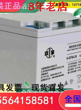 蓄电池6-GFM-24免维护12V24AH计算机 机房UPS直流屏EPS太阳能