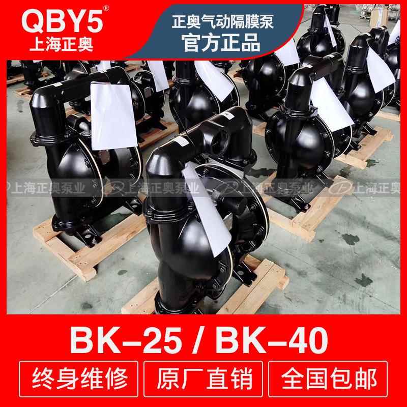 BK-25P增强型1寸螺纹口不锈钢材质气动隔膜泵