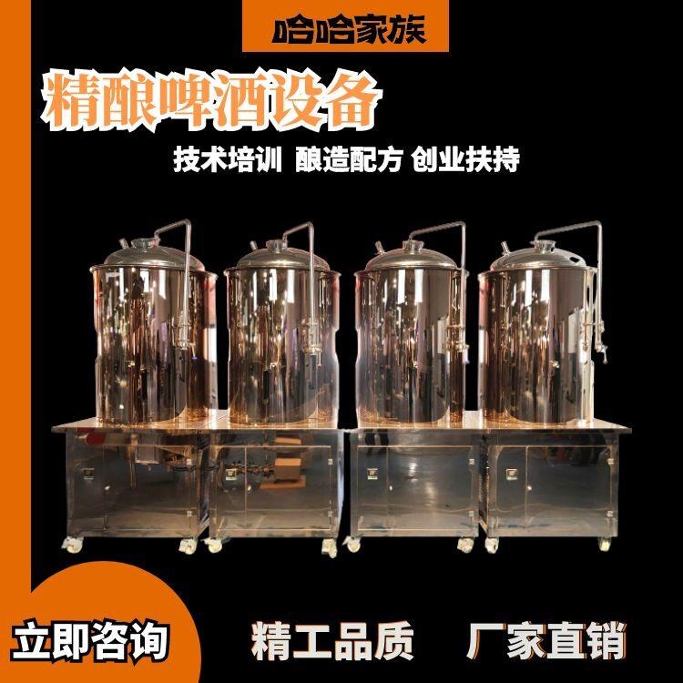 啤酒酿造机械 精酿家用酿造机械 灌装精酿啤酒的设备鲜啤酿造机器