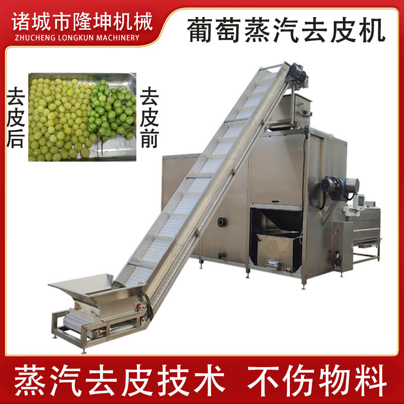 lk1-3t流全自动葡萄葡罐头加工去皮机 萄加工线 根茎果蔬水去皮机