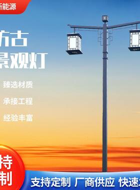 景区中式庭院led景观路灯园林别墅小区双头灯笼仿古太阳能景观灯