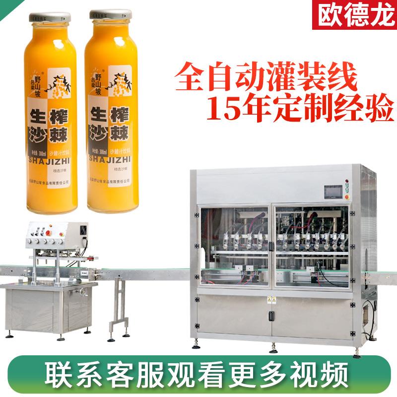 全自动饮料灌装机多头直流式沙棘汁灌装机玻璃瓶果汁罐装设备