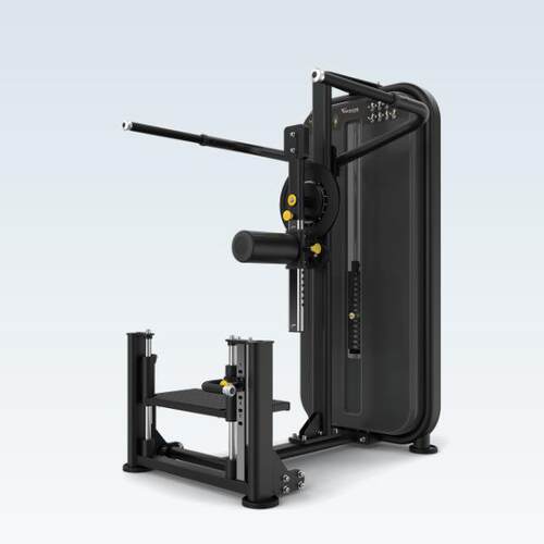 乔山VISION臂部训练器VST600-S76家用专业健身房力量运动器材
