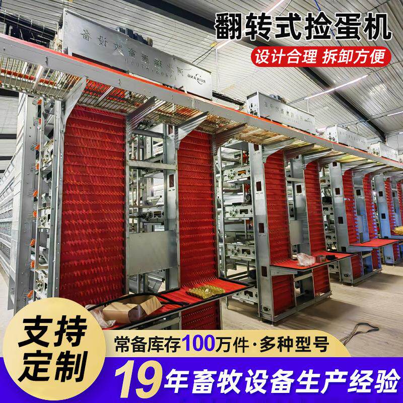 全自动大层叠蛋鸡笼厂家蛋鸡喂料集蛋清粪一体化翻转式捡蛋机