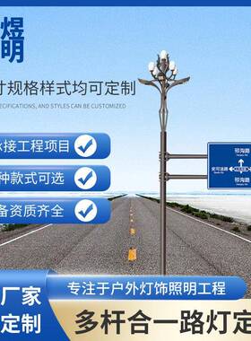 IP65防水多杆合一led路灯定制户外超亮玉兰灯中华灯高亮度