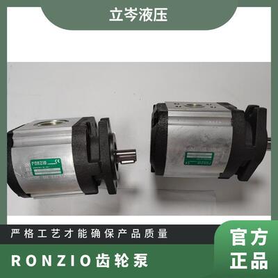 供应意大利罗茨RONZIO齿轮泵03ZAG50C064D工程钻机