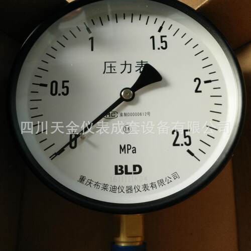 供应布莱迪普通压力表Y-100水压表0.25mpa液压表油压表径向型