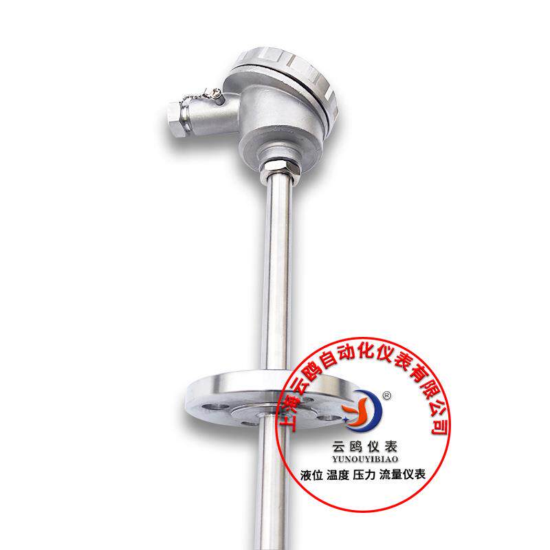 WZP带固定法兰活动法兰直形管接头带热套式法兰套管带法兰热电阻