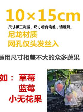 无花果番石榴厂家直销农用防虫网