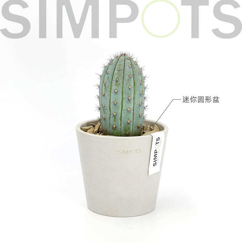 SIMPOTS树脂黑胶轻奢高级感绿植花盆兰花北欧室内禅意日系花盆