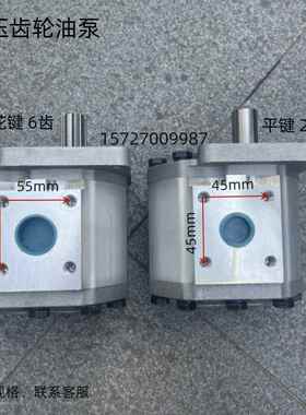 高压齿轮油泵 CBN-F532-BFHL/F525/F520/F540/F550/F563-BFP 油泵