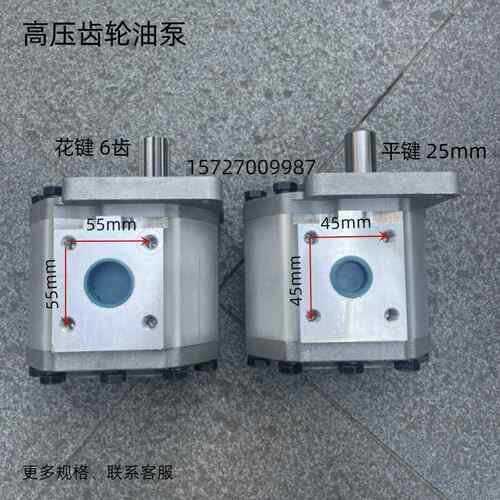 高压齿轮油泵 CBN-F532-BFHL/F525/F520/F540/F550/F563-BFP 油泵