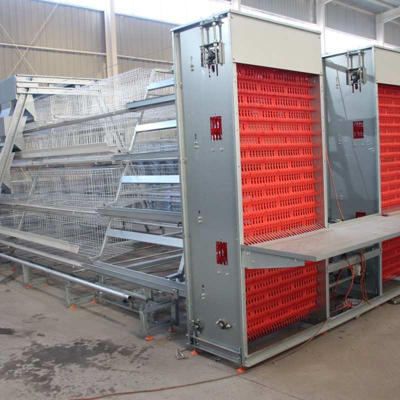 阶梯蛋鸡笼全自动新款养鸡养殖设备加背负式喂料机多层阶梯热镀锌