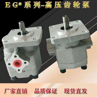 EG-PA-F2R/EG-PA-F4R/F6R/F8R/F9R/F10R/F11R/F12R 等系列齿轮泵