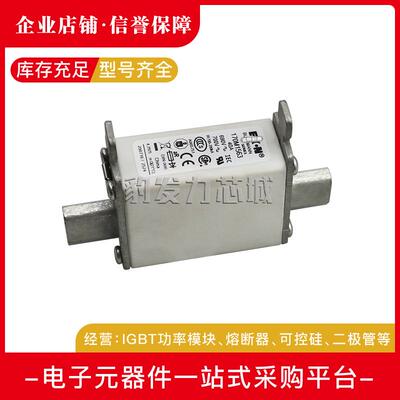 170M1565D/1566D/1567D/1568D/1569D/1570D/1571D/1572D熔断器