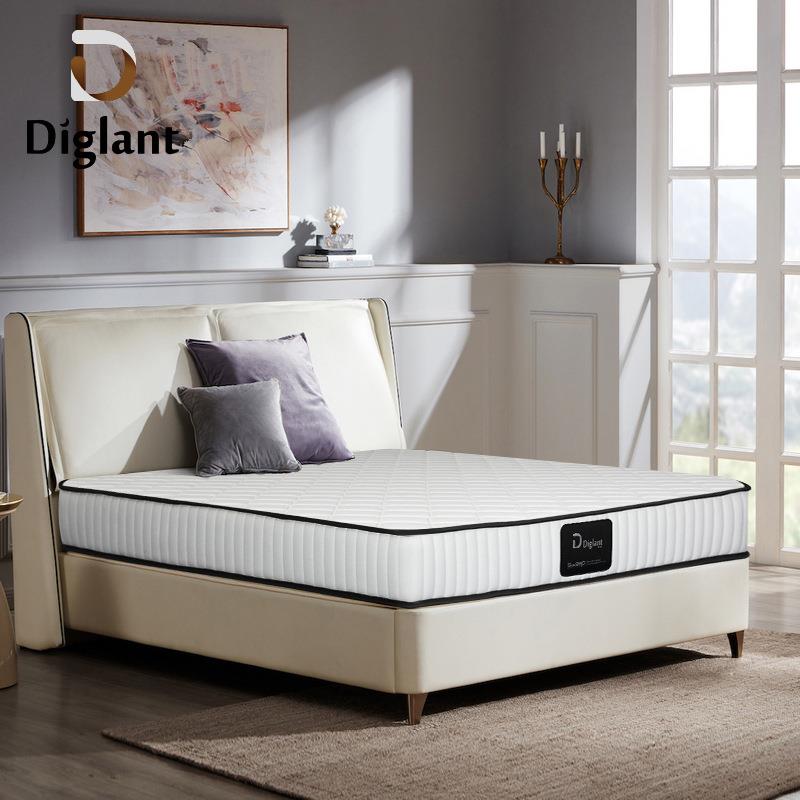 护环保椰棕脊床垫人儿老童经济实用公寓宿椰民861棕弹簧床垫