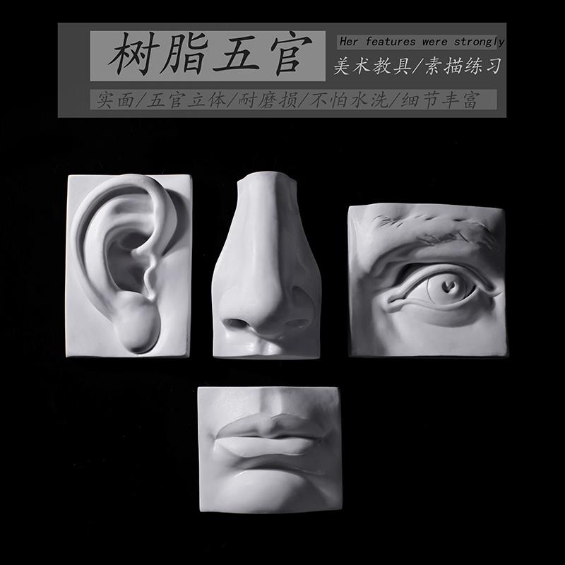 人体五官石膏像素描教具模型艺考树脂头像实面切面美术生画室用品