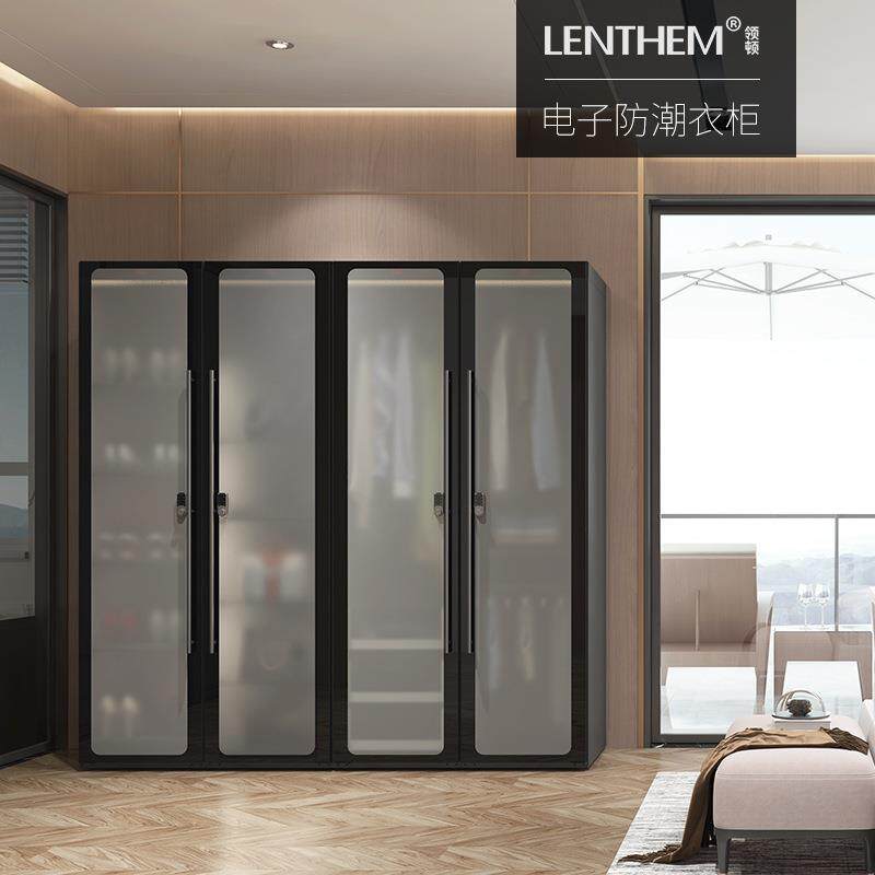 LENTHEM电子防潮衣柜蒙砂玻璃金属组合衣橱DW-600DⅡ多门