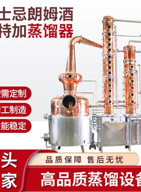 DYE直销多功能商用烈酒蒸馏器伏特加杜松子酒酿造设备高品质蒸馏