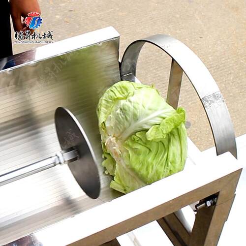 广机东厂生家产果大型瓜分瓣机 南瓜快速分瓣 CSY青皮冬瓜分块机