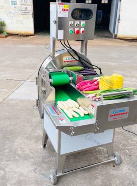 优选越南香蕉切圆片机1500KG每小时豆角韭菜变频调速切段切菜机