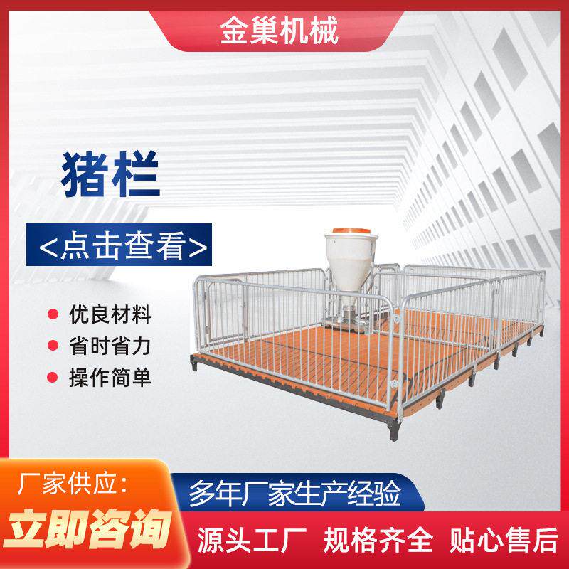 山东厂家销售猪用栏位系统多规格猪栏限位栏母猪产床