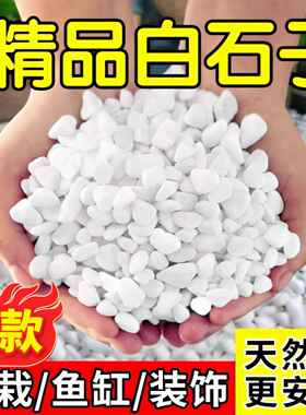 小白石子白石头鹅卵石雨花石花盆盆栽鱼缸底部砂石造景多肉铺面石