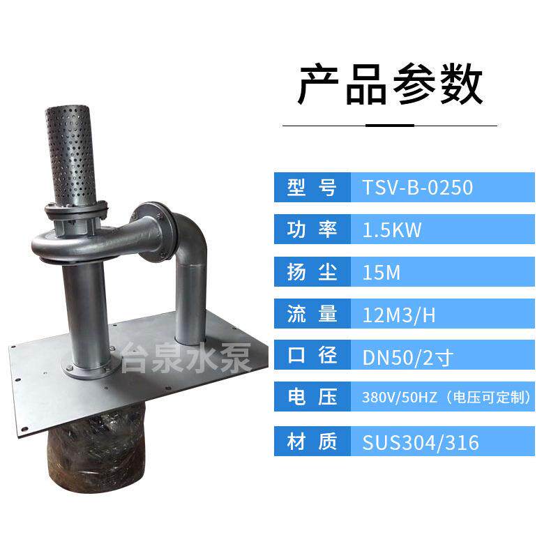 2HP立式耐酸碱循环液下泵TSV-B-0250无轴封可空转2寸槽外安装