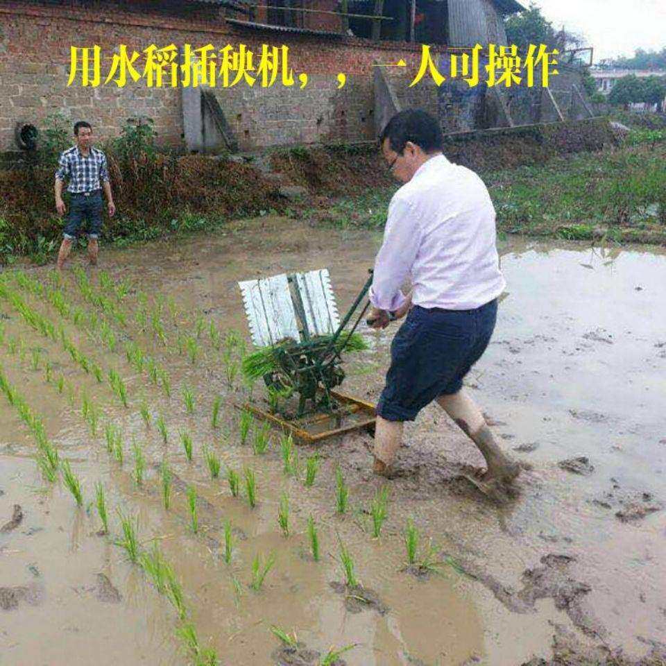 插秧机手摇式水稻新式两行插禾机小型插秧机种植机农用耕种机械