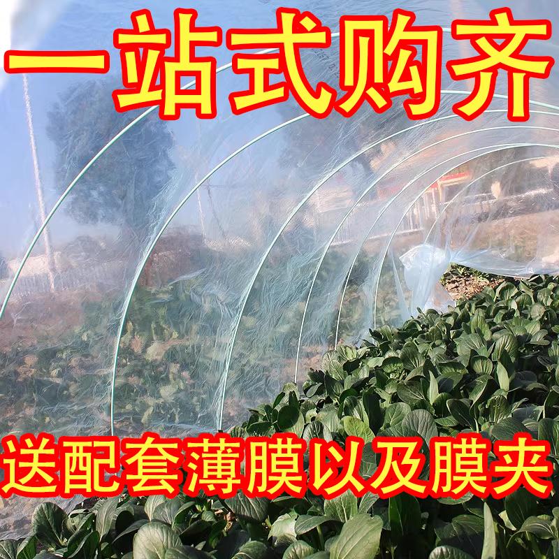 玻璃纤维杆小拱棚支架拱杆菜地小拱棚农用薄膜