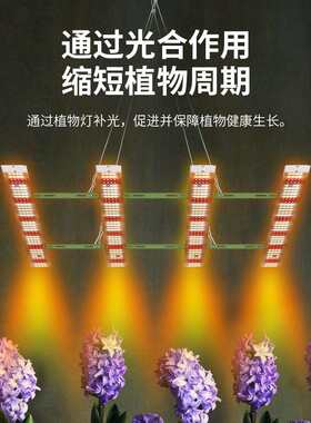 谦润照明LED植物植生长灯灯户外全室光谱植物种YAO植温育苗物补光