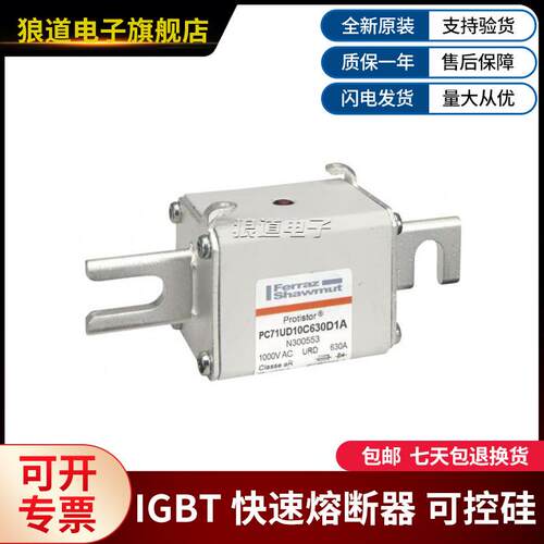 PC71UD10C630D1A-N300553PC71UD10C630EF-H300617罗兰快速熔断器