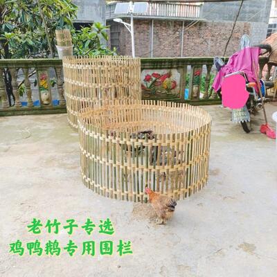 竹围栏养鸡小鸡罩笼手工编织鸡笼鸡老竹子栏栅花园小鸭子鸡圈网